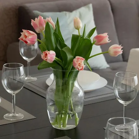 Dunska Chic Lejlighed *